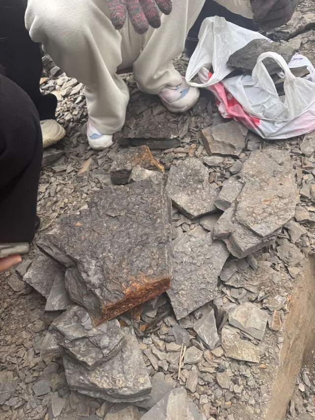 重庆多人携工具到一空地挖“化石”<strong></p>
<p>上海电气股票股吧</strong>,记者目睹市民现场挖出小贝壳,官方:正在核实