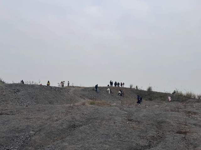 重庆多人携工具到一空地挖“化石”<strong></p>
<p>上海电气股票股吧</strong>,记者目睹市民现场挖出小贝壳,官方:正在核实