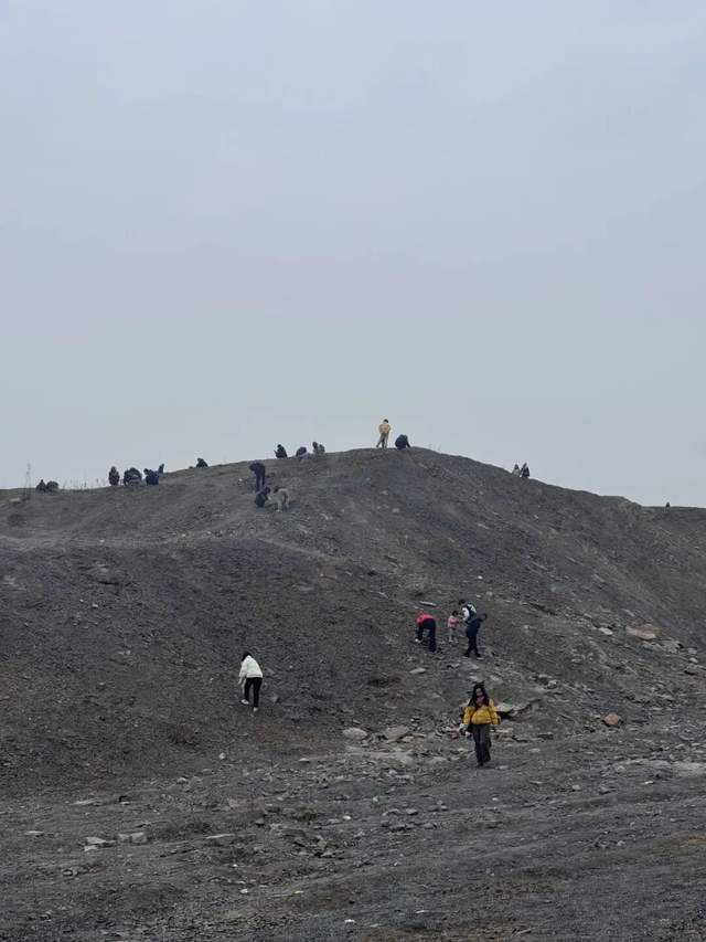 重庆多人携工具到一空地挖“化石”<strong></p>
<p>上海电气股票股吧</strong>,记者目睹市民现场挖出小贝壳,官方:正在核实