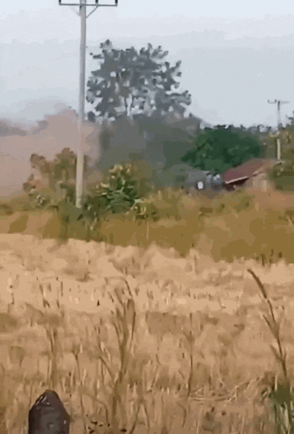 柬埔寨出动PHL-03型300毫米远火<strong></p>
<p>海南航空股票</strong>，3发火箭弹准确命中泰军据点？