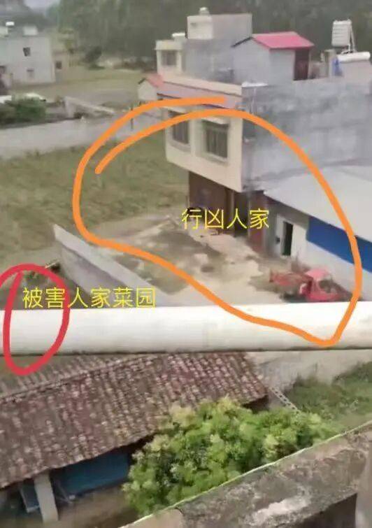 刚刚宣判:何某乖<strong></p>
<p>海南航空股票</strong>,改判死刑!