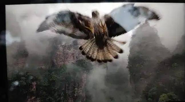 土耳其老鹰空中抓走无人机<strong></p>
<p>芯片股票</strong>，带上山顶“玩自拍”