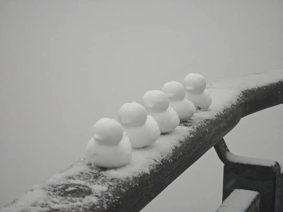 直降10℃<strong></p>
<p>中国中免股票</strong>！南京又要下雪了