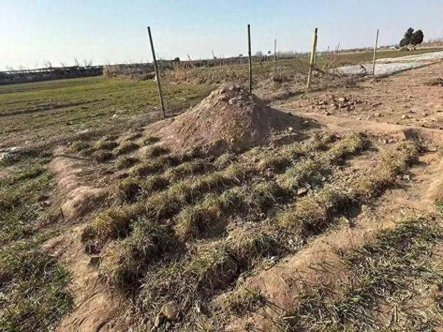 “三姐妹给父亲上坟被炸身亡案”家属最新发声：直播时2次遭死亡威胁<strong></p>
<p>成都路桥股票</strong>，“请帮我保住最后一个妹妹”；警方已立案侦查