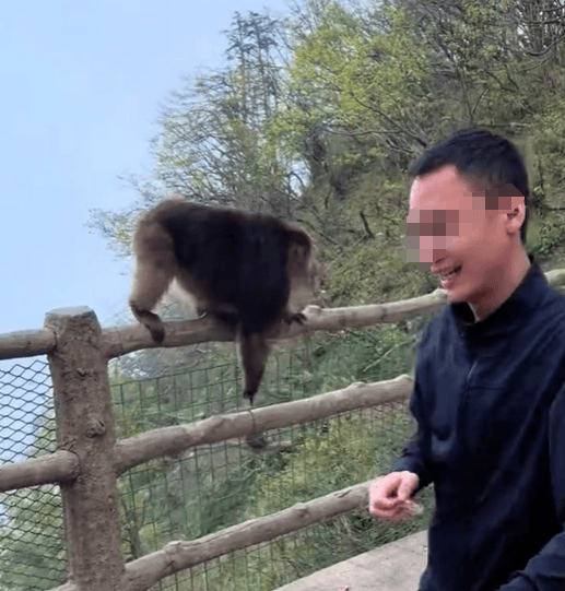 猛推峨眉山猴子的男子已致歉<strong></p>
<p>股票开户</strong>，三年内禁止进入景区！猴子没事