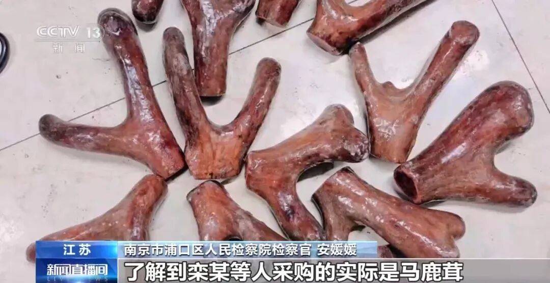 老人不买天价鹿茸被一脚踹翻<strong></p>
<p>葫芦娃股票</strong>，南京一团伙暴力威逼老人买单，100多人被骗，涉案金额90余万元，多数老人乖乖回家拿钱，甚至被逼去银行取款